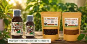 Neem olje za rastline: uporaba, mešanje in zaščita pred škodljivci